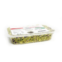 Pure Sicilian Pistachio Granules cal. 2/4 mm