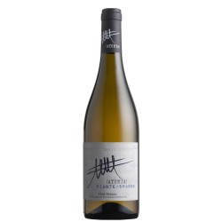 Etna Blanc DOC "Plantes Éparses"